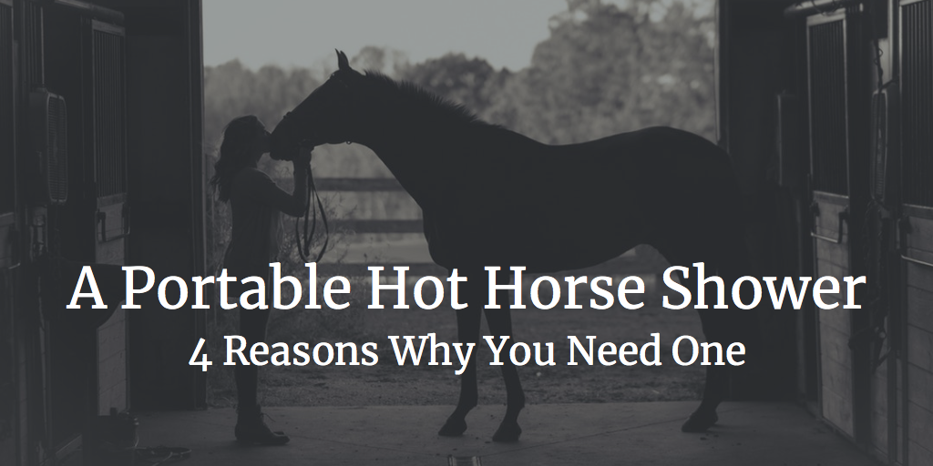 A Portable Hot Horse Shower 4 Reasons Why You Need One