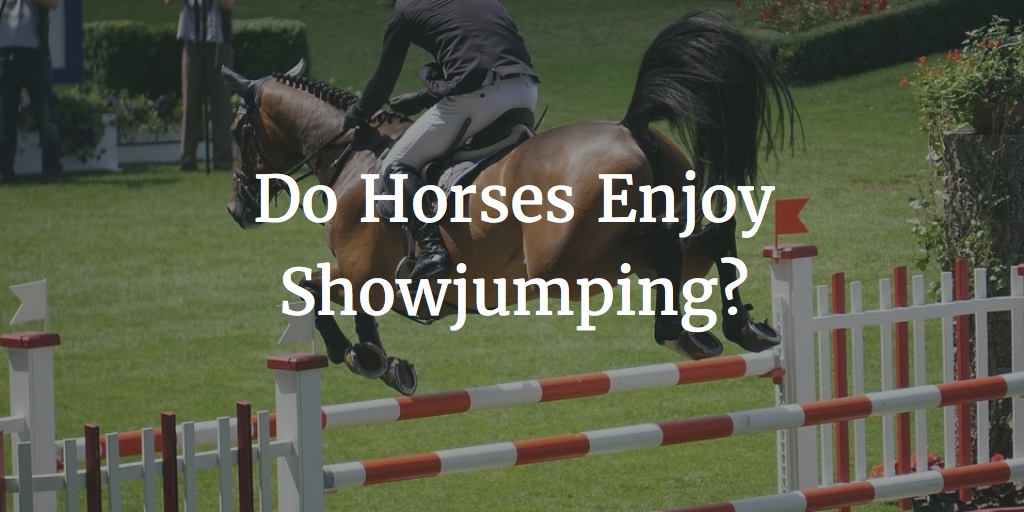 Do Horses Enjoy Showjumping?