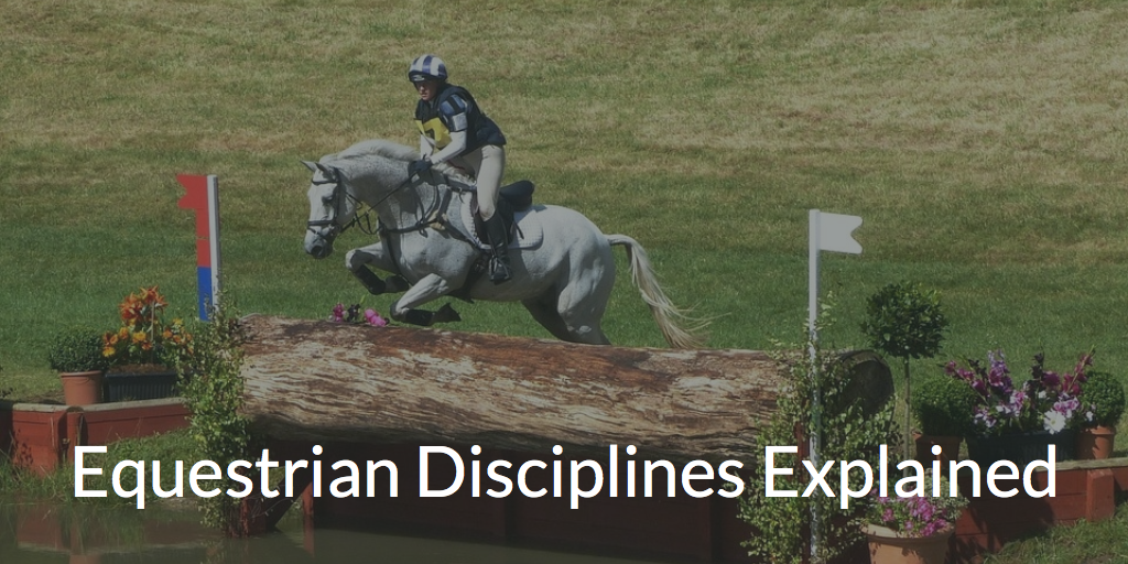 Equestrian Disciplines Explained Dressage, Show Jumping & Eventing