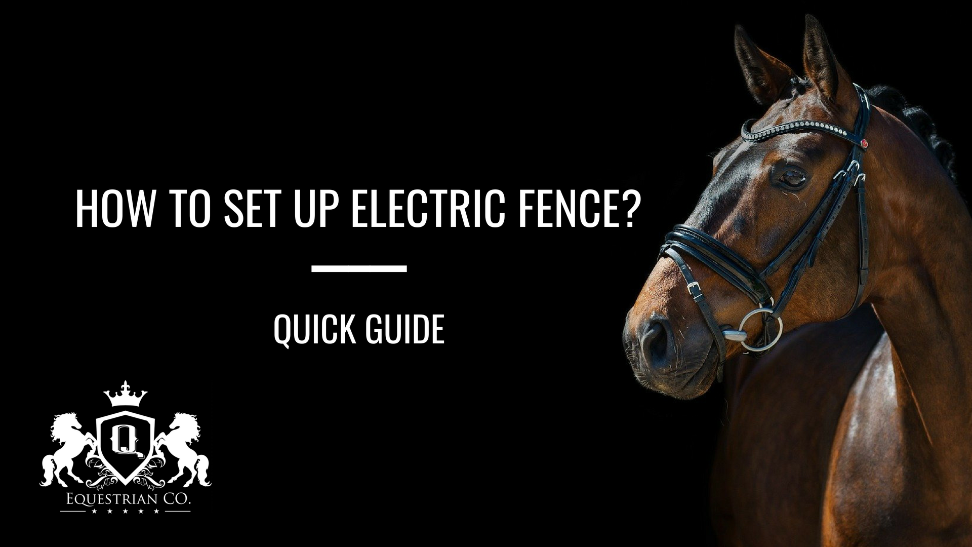 How to Set Up an Electric Fence? Quick Guide