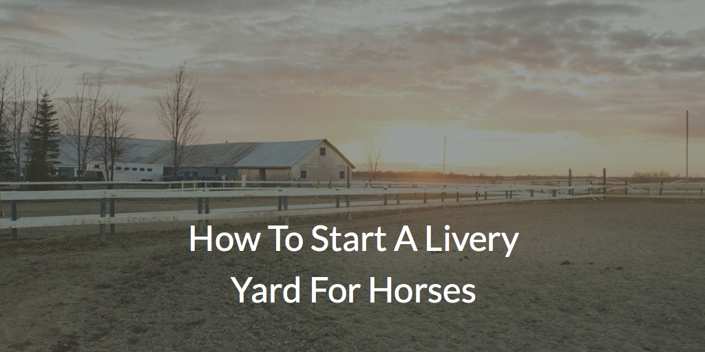 How To Start A Livery Yard For Horses - The Essentials