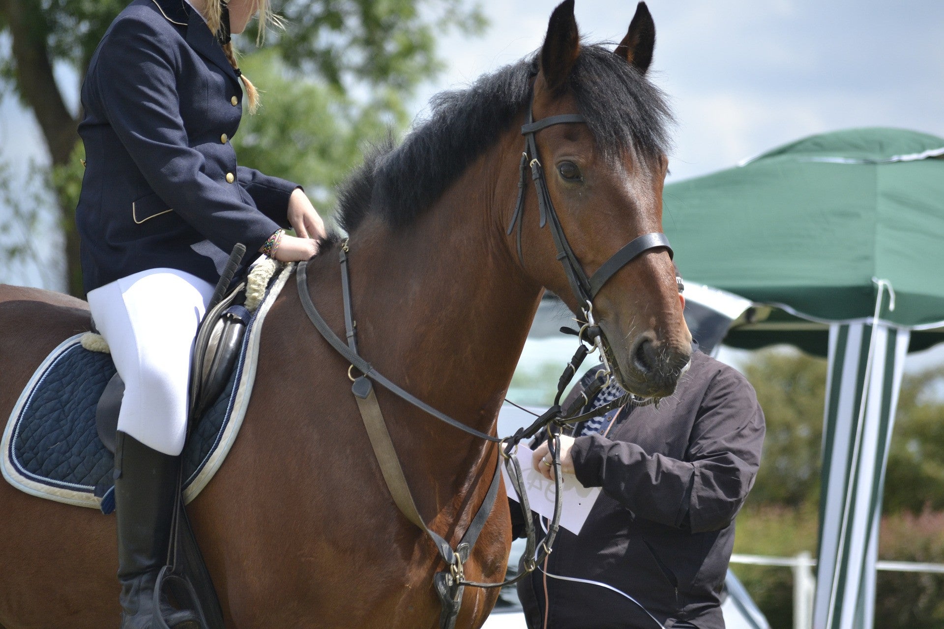 Jodhpurs vs Breeches: Are They The Same?