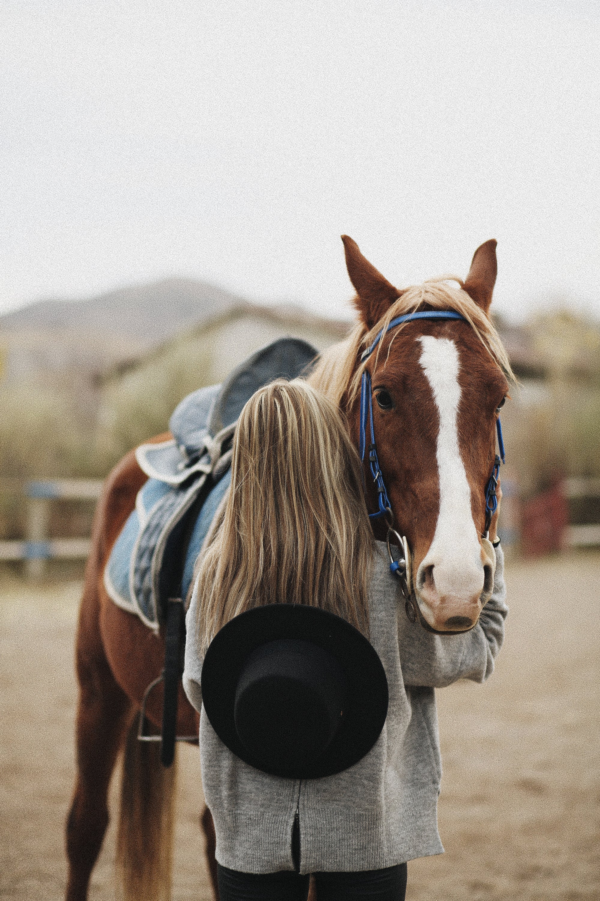 Gifts for Horse Lovers