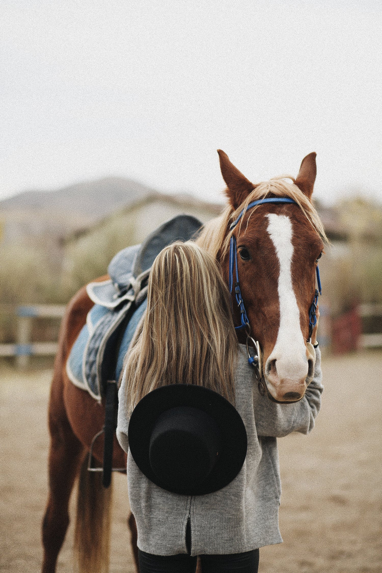 Gifts for Horse Lovers