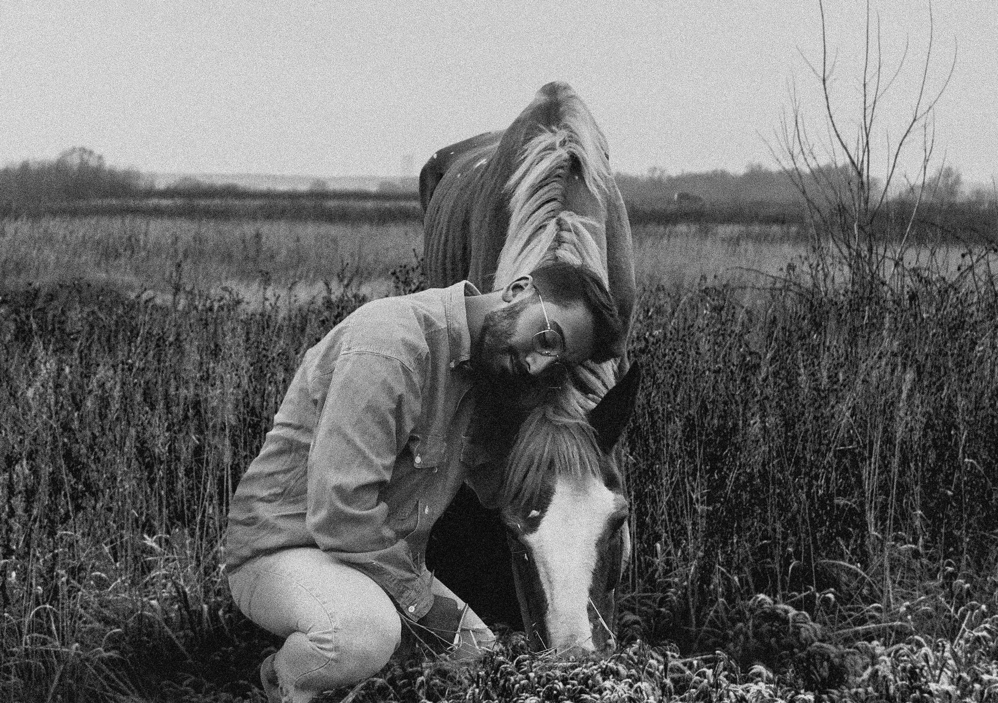 Equine Therapy: What It Is and How It Can Help You