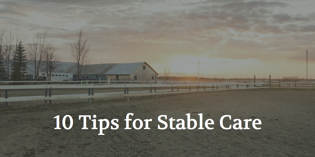 10 Essential Tips for Stable Care - Taking Care of the Horses