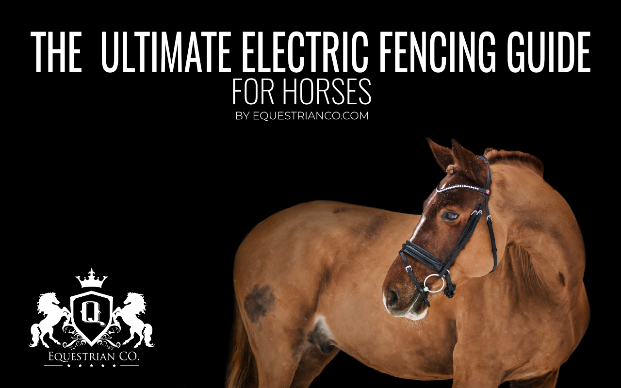 The Ultimate Electric Fencing Guide for Horses [Infographic]