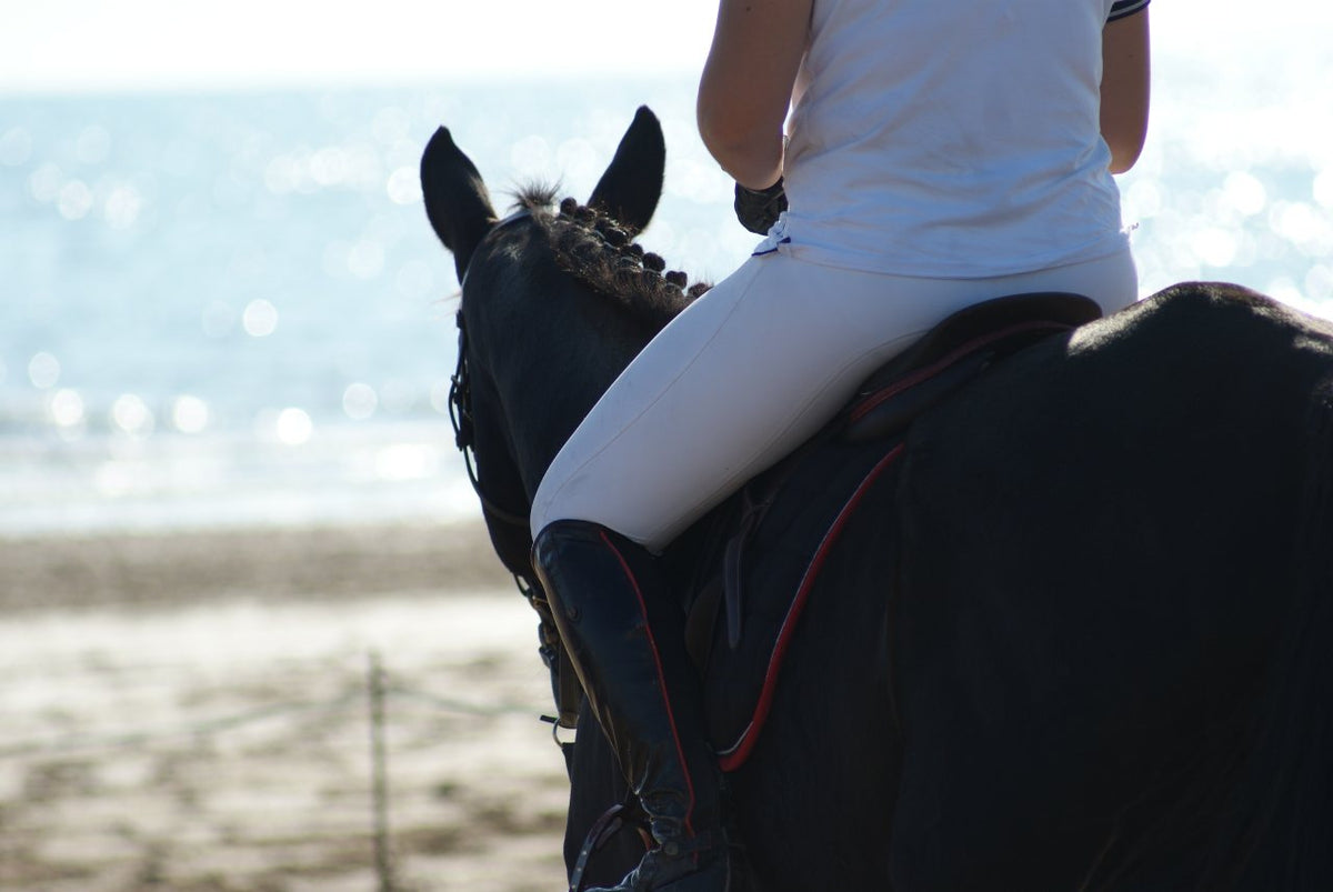 Black Long Line Equestrian Sports Bra - Black Heart Equestrian
