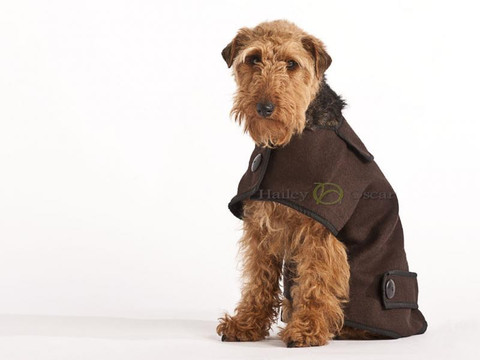 Hailey and Oscar Brown Wool Casual Coat